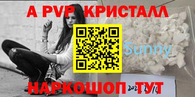 стафф Заводоуковск