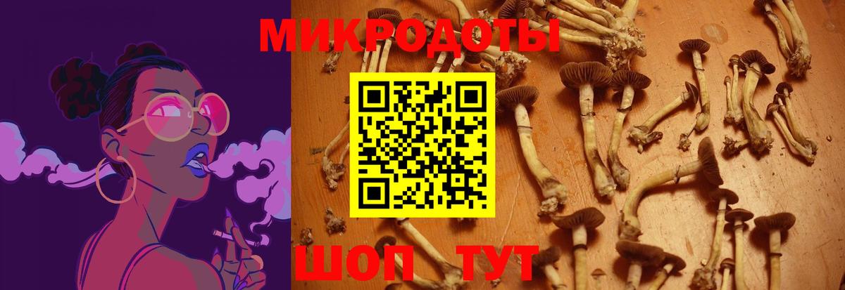 Псилоцибиновые грибы Psilocybine cubensis Мелеуз