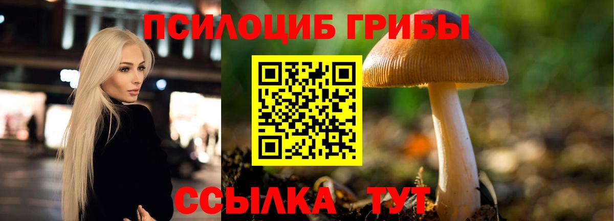 Псилоцибиновые грибы Psilocybine cubensis  Вход с VPN  Мелеуз  Галлюциногенные грибы ЛСД 
